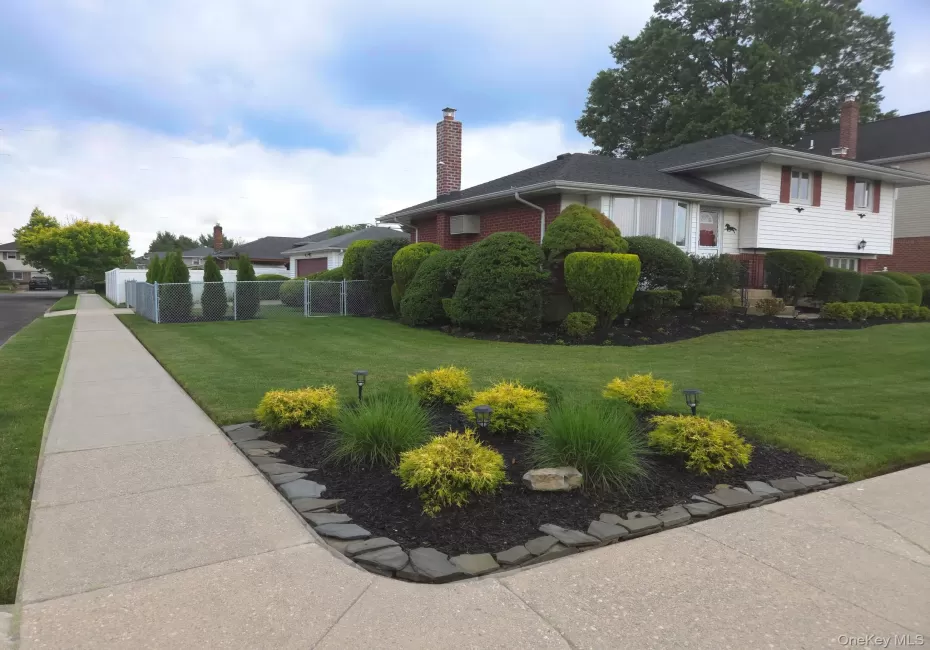 Welcome Home! Welcome Home!