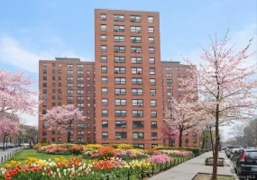 99-72 66 Road, New York, NY, 2 Bedrooms Bedrooms, 3 Rooms Rooms,1 BathroomBathrooms,Residential,For Rent,66,0,1043671 99-72 66 Road, New York, NY, 2 Bedrooms Bedrooms, 3 Rooms Rooms,1 BathroomBathrooms,Residential,For Rent,66,0,1043671