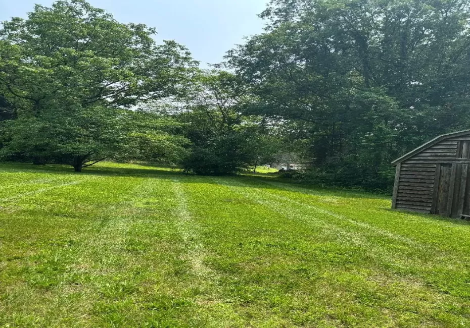 View of grassy yard featuring a storage unit View of grassy yard featuring a storage unit