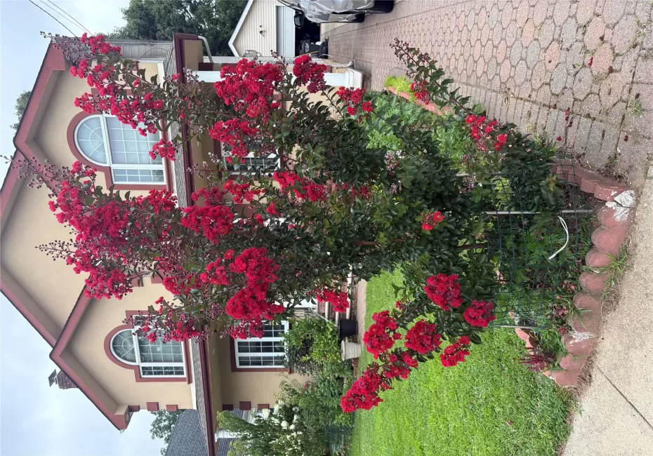 43 Baxter Avenue, North Hempstead, NY, 6 Bedrooms Bedrooms, 14 Rooms Rooms,4 BathroomsBathrooms,Residential,For Rent,Baxter,0,1040035 43 Baxter Avenue, North Hempstead, NY, 6 Bedrooms Bedrooms, 14 Rooms Rooms,4 BathroomsBathrooms,Residential,For Rent,Baxter,0,1040035