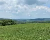 ROUTE 82, Ancram, NY, ,Land,For Rent,ROUTE 82,0,1050593 ROUTE 82, Ancram, NY, ,Land,For Rent,ROUTE 82,0,1050593