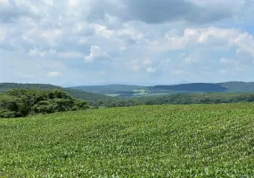 ROUTE 82, Ancram, NY, ,Land,For Rent,ROUTE 82,0,1050593 ROUTE 82, Ancram, NY, ,Land,For Rent,ROUTE 82,0,1050593