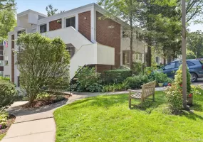 311 Tallwood Drive, Greenburgh, NY, 3 Bedrooms Bedrooms, 6 Rooms Rooms,2 BathroomsBathrooms,Residential,For Rent,Tallwood,0,1052047 311 Tallwood Drive, Greenburgh, NY, 3 Bedrooms Bedrooms, 6 Rooms Rooms,2 BathroomsBathrooms,Residential,For Rent,Tallwood,0,1052047