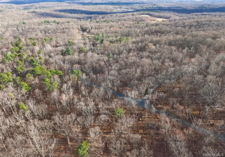 Lenni Lenape Avenue, Mamakating, NY, ,Land,For Rent,Lenni Lenape,0,972900 Lenni Lenape Avenue, Mamakating, NY, ,Land,For Rent,Lenni Lenape,0,972900