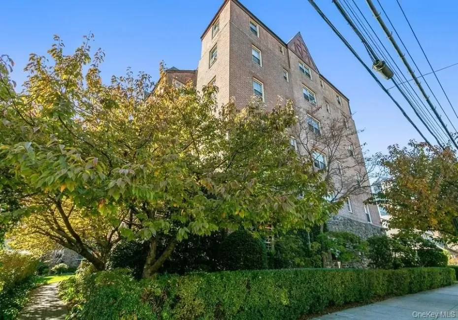 151 Centre, New Rochelle, NY, 1 Bedroom Bedrooms, 3 Rooms Rooms,1 BathroomBathrooms,Residential,For Rent,Centre,0,1051803 151 Centre, New Rochelle, NY, 1 Bedroom Bedrooms, 3 Rooms Rooms,1 BathroomBathrooms,Residential,For Rent,Centre,0,1051803