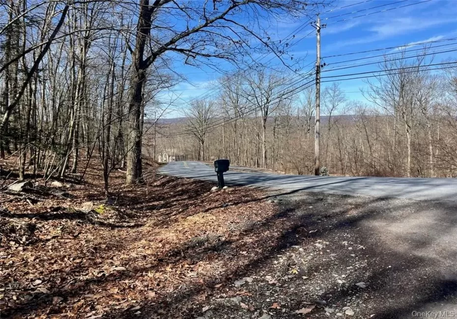2235 Greenville Turnpike Greenville Turnpike, Greenville, NY, ,Land,For Rent,Greenville,0,H6293508 2235 Greenville Turnpike Greenville Turnpike, Greenville, NY, ,Land,For Rent,Greenville,0,H6293508