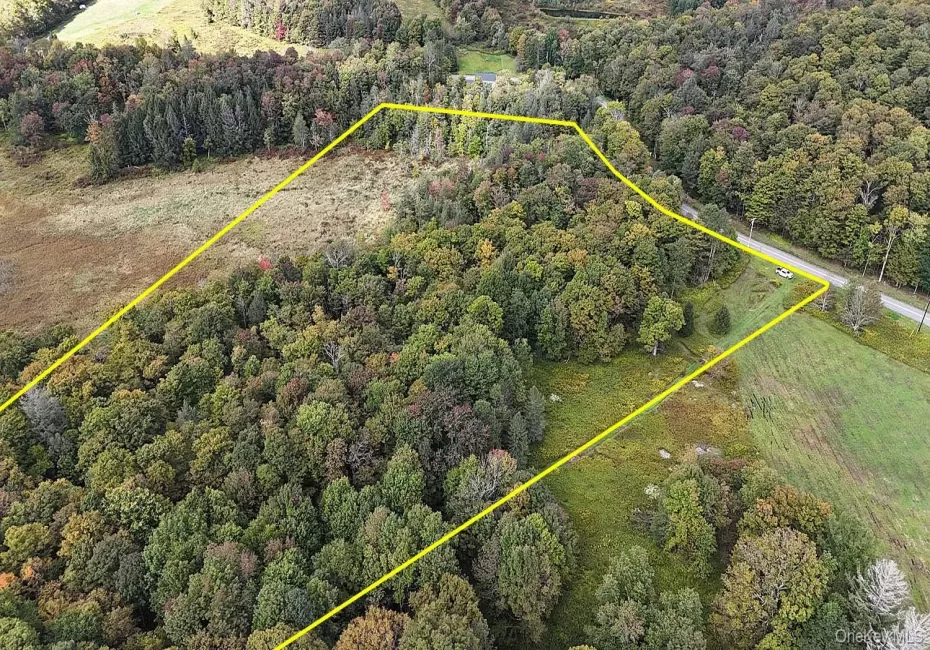5790 Cr-28, Hancock, NY, ,Land,For Rent,Cr-28,0,1050673 5790 Cr-28, Hancock, NY, ,Land,For Rent,Cr-28,0,1050673