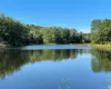 Water view with a forest Water view with a forest