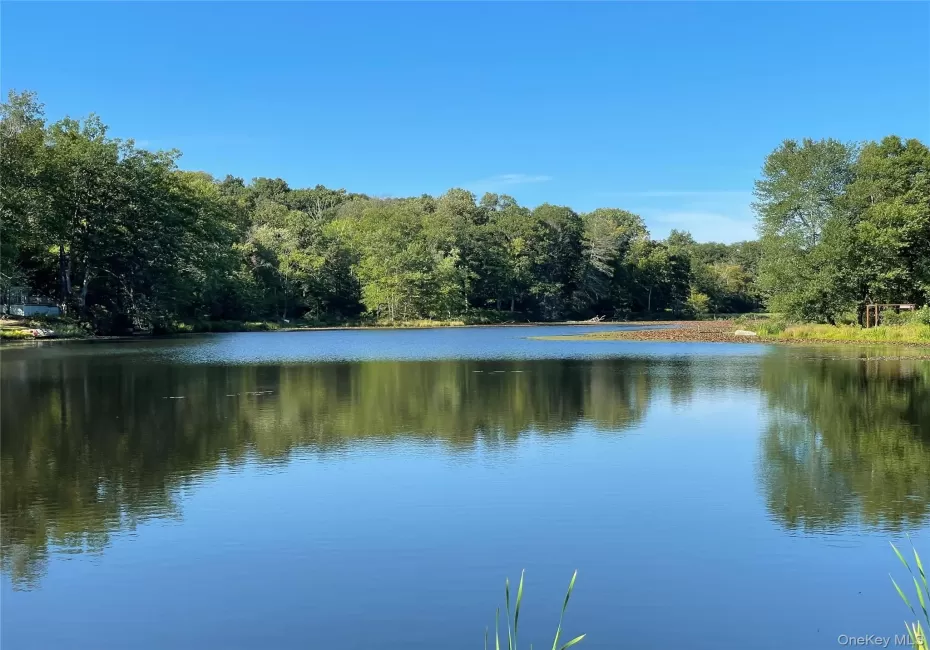 Water view with a forest Water view with a forest