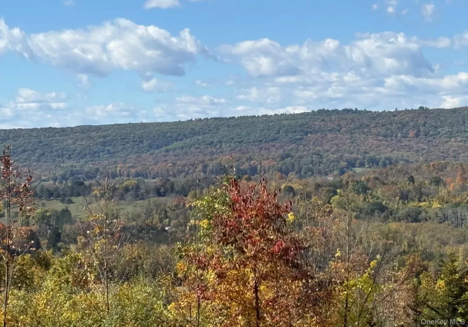 Lot # 11 Westerly Ridge Drive, Amenia, NY, ,Land,For Rent,Westerly Ridge,0,1055671 Lot # 11 Westerly Ridge Drive, Amenia, NY, ,Land,For Rent,Westerly Ridge,0,1055671