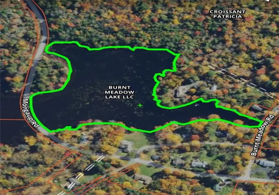 Mongaup Road, Thompson, NY, ,Land,For Rent,Mongaup,0,977951 Mongaup Road, Thompson, NY, ,Land,For Rent,Mongaup,0,977951