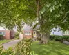 38 Middle Neck Road, North Hempstead, NY, 4 Bedrooms Bedrooms, 7 Rooms Rooms,2 BathroomsBathrooms,Residential,For Rent,Middle Neck,0,1057693 38 Middle Neck Road, North Hempstead, NY, 4 Bedrooms Bedrooms, 7 Rooms Rooms,2 BathroomsBathrooms,Residential,For Rent,Middle Neck,0,1057693