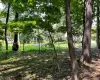 Forest Avenue, New Rochelle, NY, ,Land,For Rent,Forest,0,1038815 Forest Avenue, New Rochelle, NY, ,Land,For Rent,Forest,0,1038815