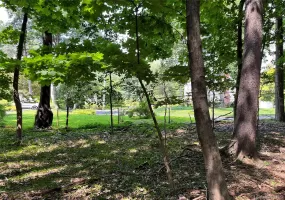 Forest Avenue, New Rochelle, NY, ,Land,For Rent,Forest,0,1038815 Forest Avenue, New Rochelle, NY, ,Land,For Rent,Forest,0,1038815