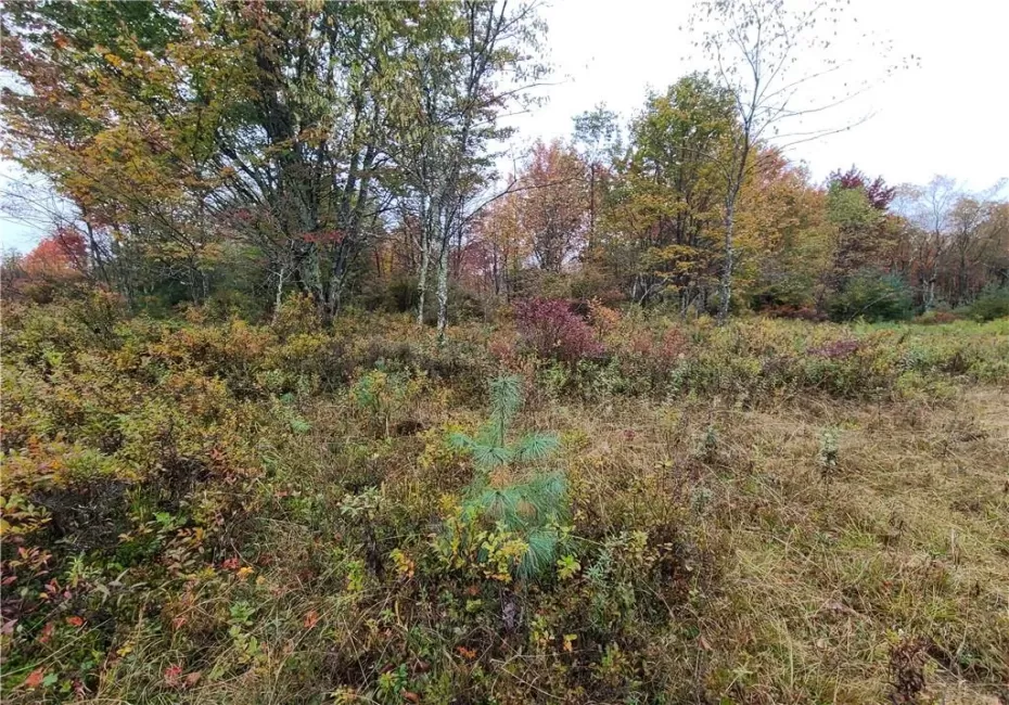 116 Voss Road, Denning, NY, ,Land,For Rent,Voss,0,H6330587 116 Voss Road, Denning, NY, ,Land,For Rent,Voss,0,H6330587