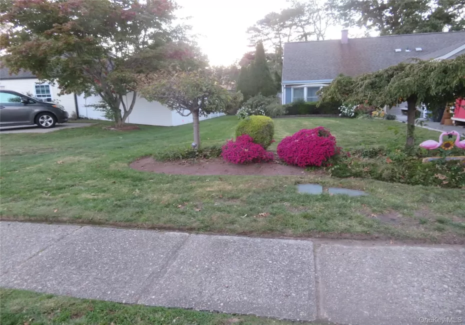Manicured lawn with mature trees and vibrant landscaping Manicured lawn with mature trees and vibrant landscaping