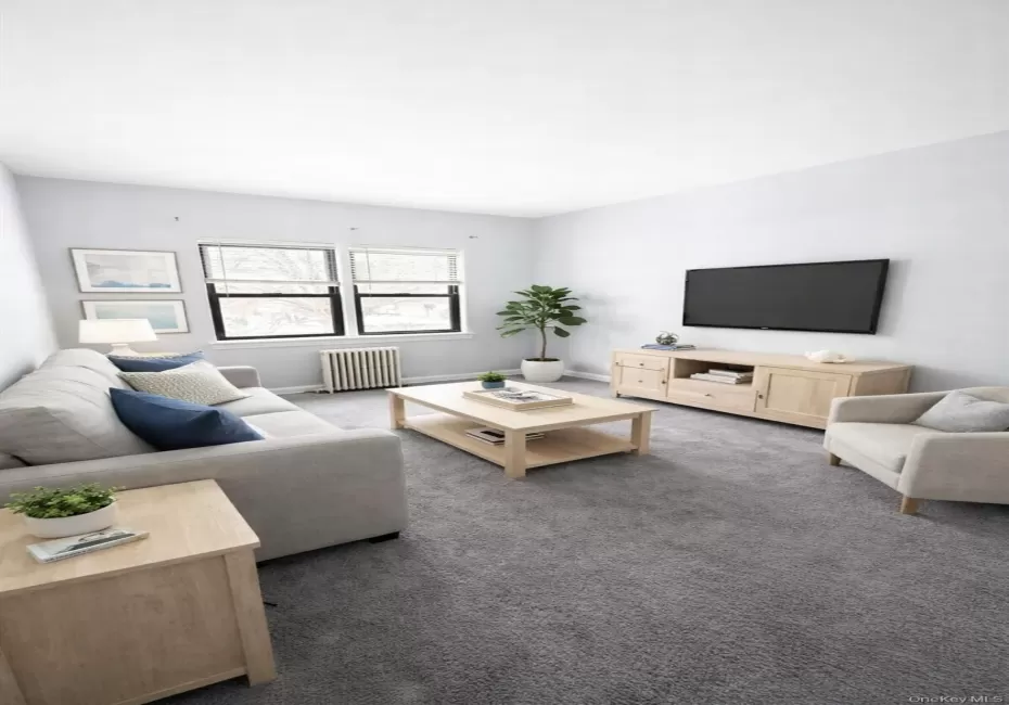 Living room with dark colored carpet and radiator heating unit Living room with dark colored carpet and radiator heating unit