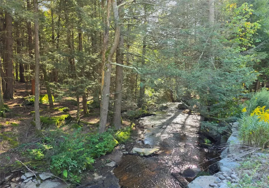 TBD Lily Pond Road, Liberty, NY, ,Land,For Rent,Lily Pond,0,1060084 TBD Lily Pond Road, Liberty, NY, ,Land,For Rent,Lily Pond,0,1060084