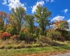 Rutsonville Road, Shawangunk, NY, ,Land,For Rent,Rutsonville,0,1061145 Rutsonville Road, Shawangunk, NY, ,Land,For Rent,Rutsonville,0,1061145