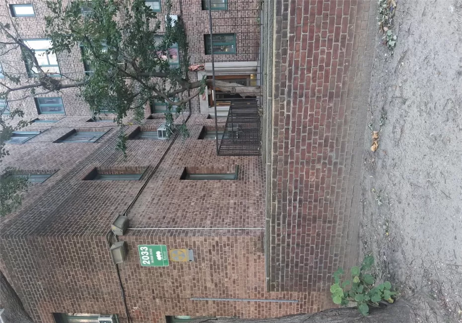 2033 Mc Graw Avenue, New York, NY, 1 Bedroom Bedrooms, 3 Rooms Rooms,1 BathroomBathrooms,Residential,For Rent,Mc Graw,0,1061174 2033 Mc Graw Avenue, New York, NY, 1 Bedroom Bedrooms, 3 Rooms Rooms,1 BathroomBathrooms,Residential,For Rent,Mc Graw,0,1061174