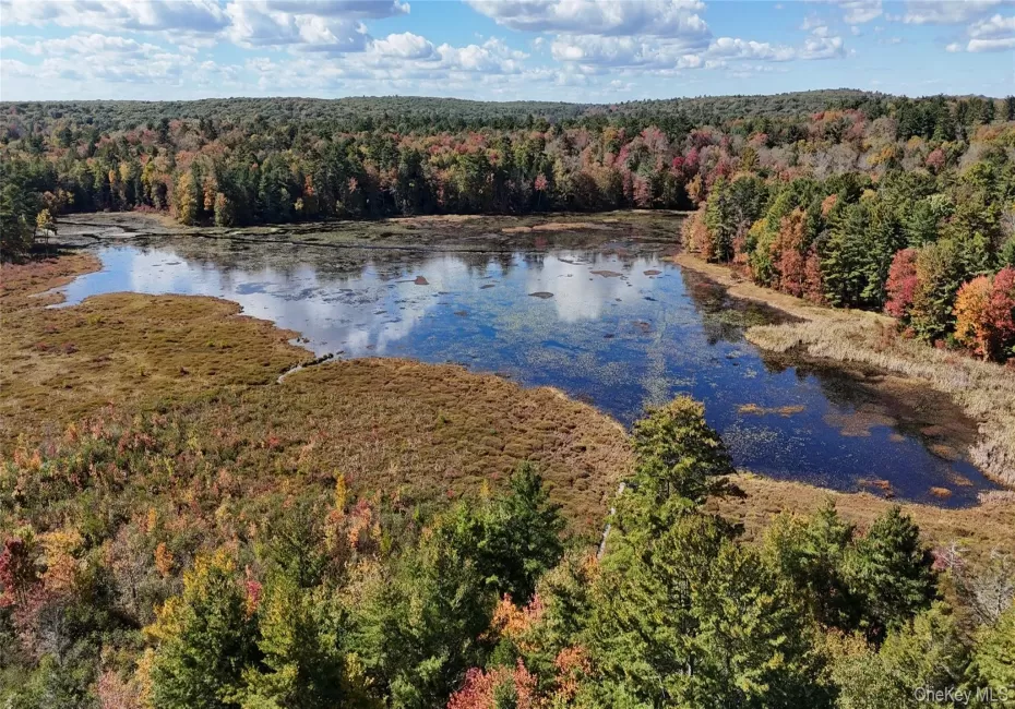 View of Little Black Lake from the Property. View of Little Black Lake from the Property.