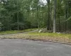 View of asphalt street with curbs and a view of trees View of asphalt street with curbs and a view of trees