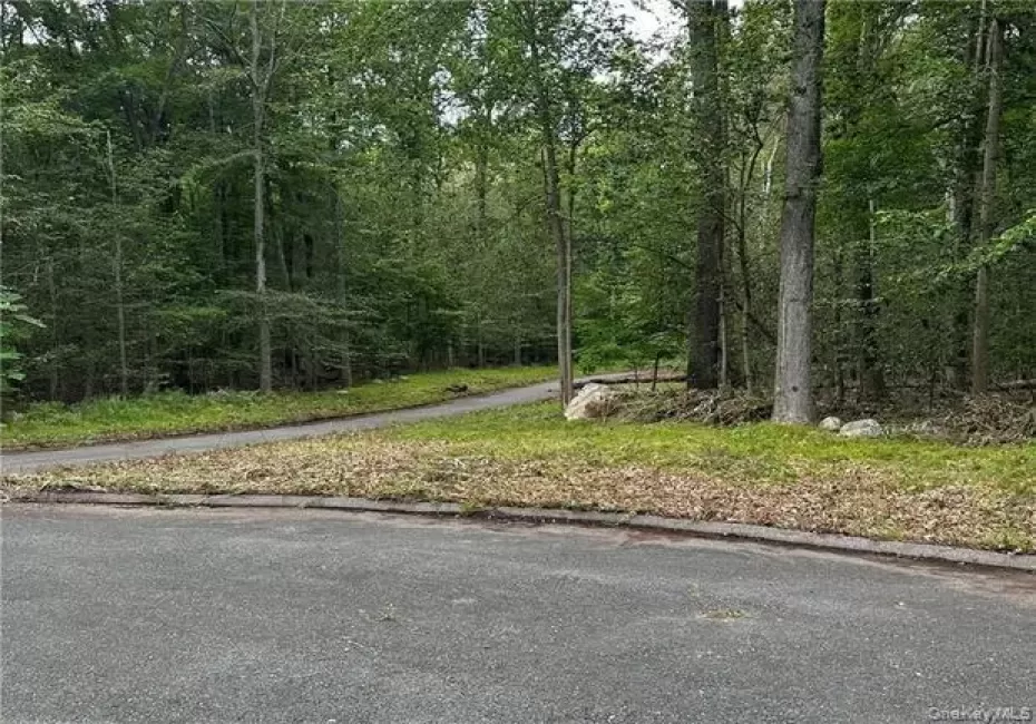 View of asphalt street with curbs and a view of trees View of asphalt street with curbs and a view of trees