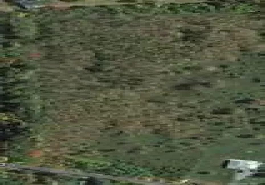 Map Map