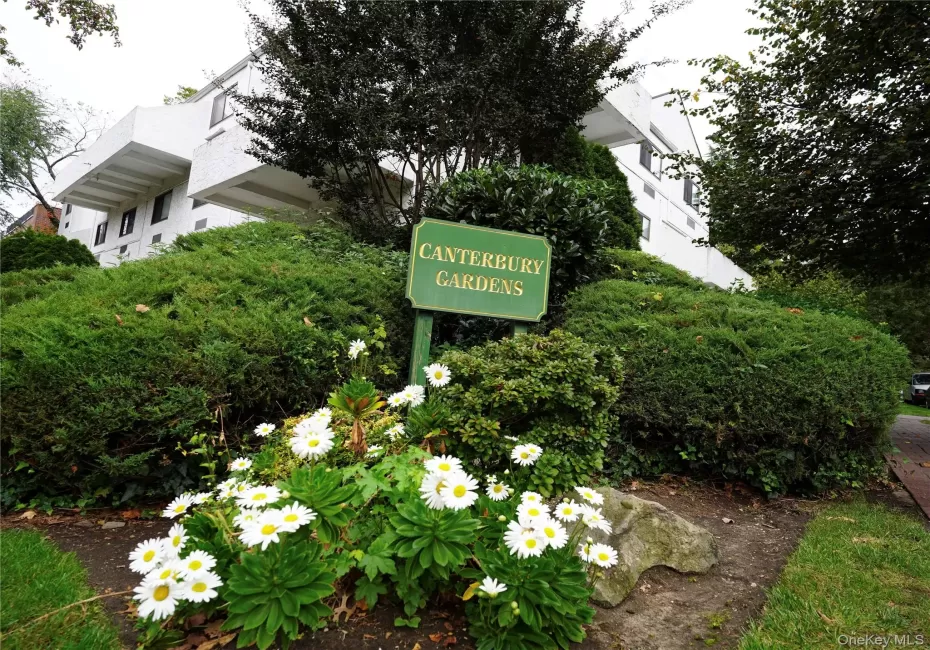 21 Canterbury Road, North Hempstead, NY, 2 Bedrooms Bedrooms, 4 Rooms Rooms,2 BathroomsBathrooms,Residential,For Rent,Canterbury,0,1059476 21 Canterbury Road, North Hempstead, NY, 2 Bedrooms Bedrooms, 4 Rooms Rooms,2 BathroomsBathrooms,Residential,For Rent,Canterbury,0,1059476