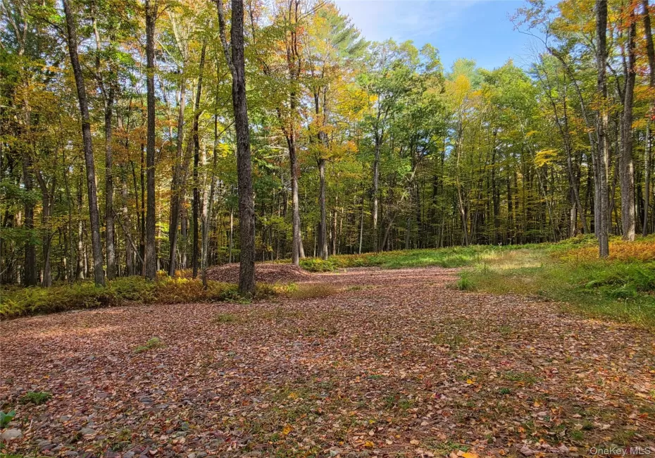 TBD Evergreen Lane, Tusten, NY, ,Land,For Rent,Evergreen,0,1063614 TBD Evergreen Lane, Tusten, NY, ,Land,For Rent,Evergreen,0,1063614