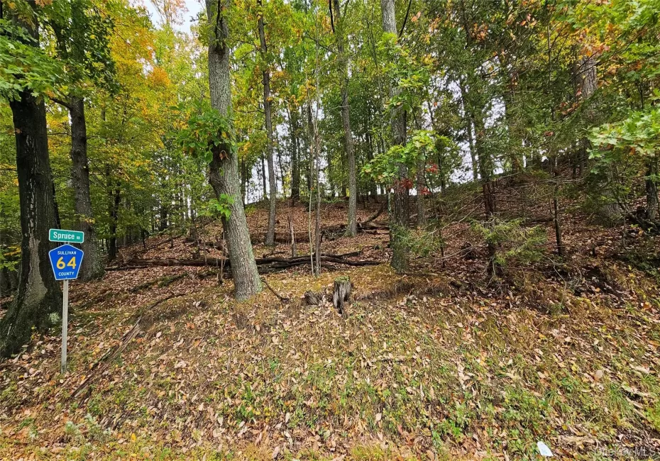 X Spruce Road, Mamakating, NY, ,Land,For Rent,Spruce,0,1063672 X Spruce Road, Mamakating, NY, ,Land,For Rent,Spruce,0,1063672