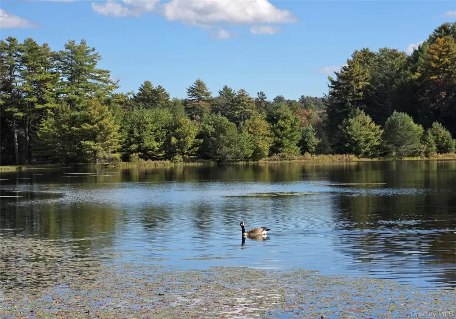 Lot 11 Deer Meadow Road, Bethel, NY, ,Land,For Rent,Deer Meadow,0,1063648 Lot 11 Deer Meadow Road, Bethel, NY, ,Land,For Rent,Deer Meadow,0,1063648