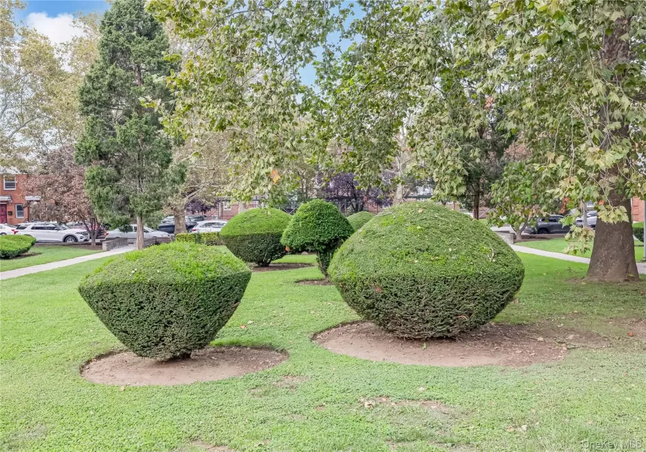 138-32 68th Drive, New York, NY, 1 Bedroom Bedrooms, 5 Rooms Rooms,1 BathroomBathrooms,Residential,For Rent,68th,0,1059732 138-32 68th Drive, New York, NY, 1 Bedroom Bedrooms, 5 Rooms Rooms,1 BathroomBathrooms,Residential,For Rent,68th,0,1059732