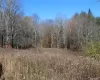 Expansive acreage featuring a natural meadow, diverse woodland, and mature deciduous trees Expansive acreage featuring a natural meadow, diverse woodland, and mature deciduous trees