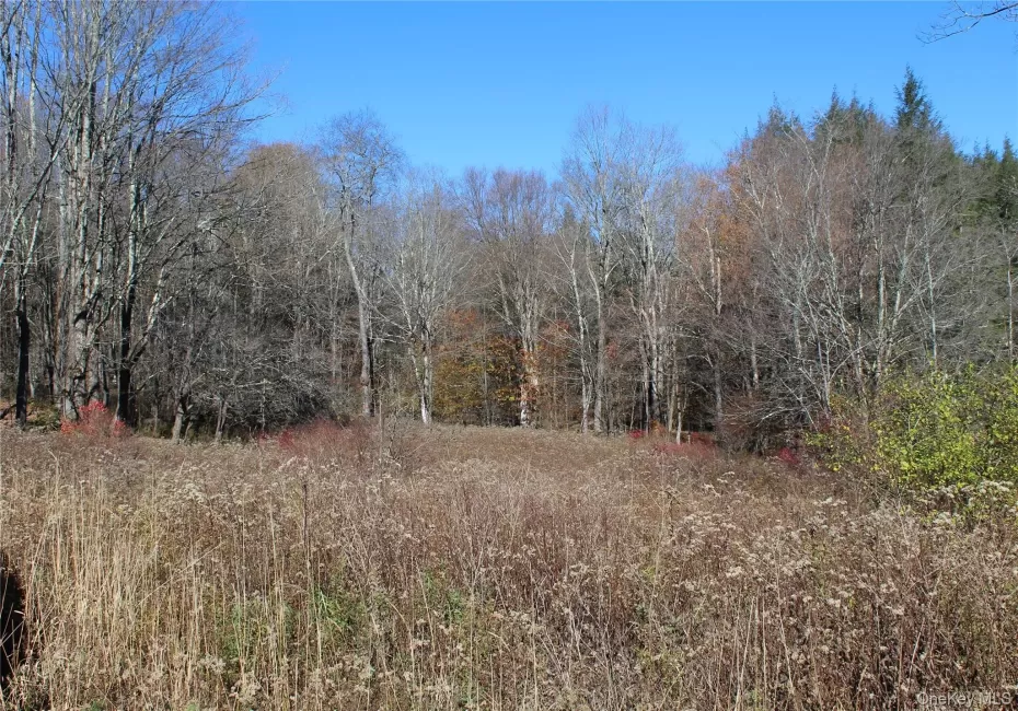 Expansive acreage featuring a natural meadow, diverse woodland, and mature deciduous trees Expansive acreage featuring a natural meadow, diverse woodland, and mature deciduous trees