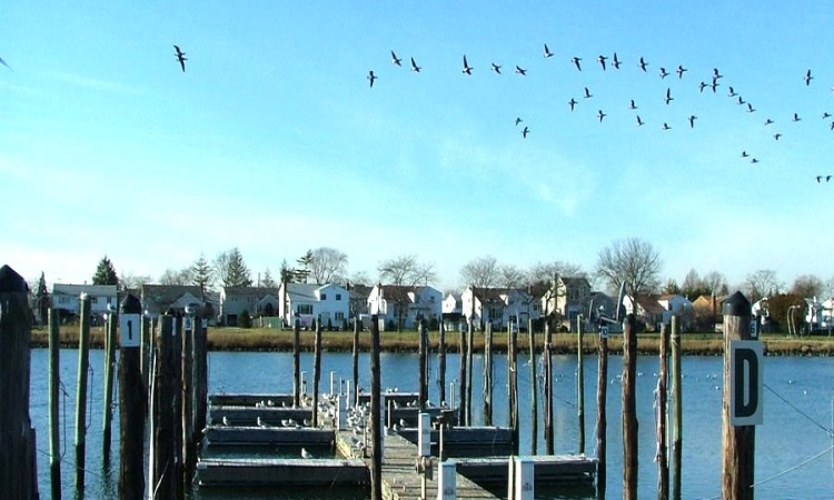 Wantagh, NY, ,3517076