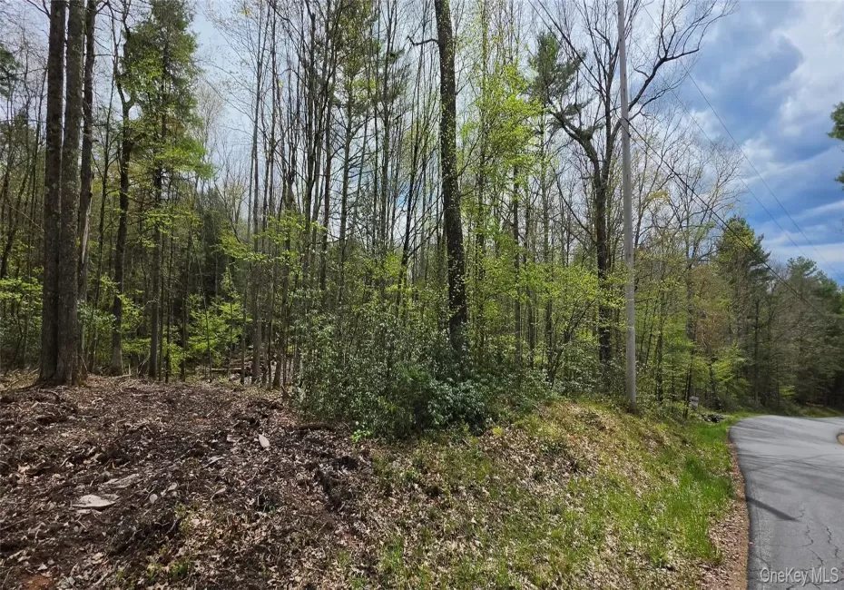 Lot 82 Perry Pond Road, Tusten, NY, ,Land,For Rent,Perry Pond,0,KEY963698 Lot 82 Perry Pond Road, Tusten, NY, ,Land,For Rent,Perry Pond,0,KEY963698