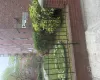 Brick exterior building featuring multiple windows, a black metal fence, mature landscaping, and an adjacent brick building Brick exterior building featuring multiple windows, a black metal fence, mature landscaping, and an adjacent brick building