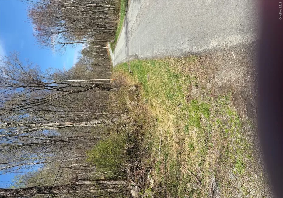 209 Stream Hollow, Fallsburg, NY, ,Land,For Rent,Stream Hollow,0,987402 209 Stream Hollow, Fallsburg, NY, ,Land,For Rent,Stream Hollow,0,987402
