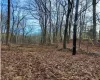 Laurie Lane, Lewisboro, NY, ,Land,For Rent,Laurie,0,000152 Laurie Lane, Lewisboro, NY, ,Land,For Rent,Laurie,0,000152