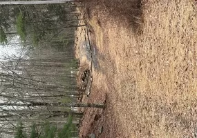 0 Red Hill Road, Mamakating, NY, ,Land,For Rent,0 Red Hill Road,0,947878 0 Red Hill Road, Mamakating, NY, ,Land,For Rent,0 Red Hill Road,0,947878