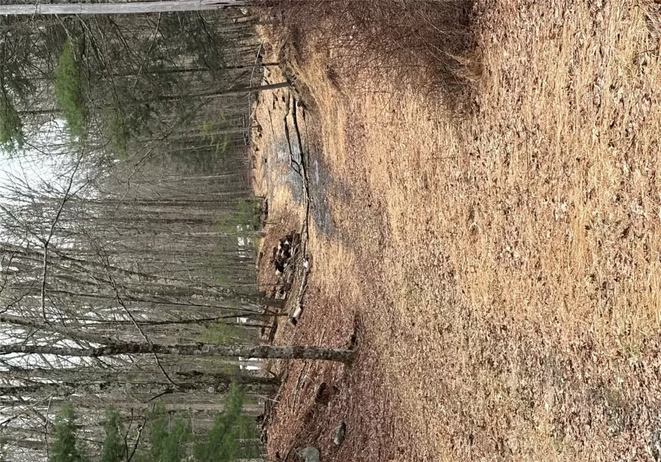 0 Red Hill Road, Mamakating, NY, ,Land,For Rent,0 Red Hill Road,0,947878 0 Red Hill Road, Mamakating, NY, ,Land,For Rent,0 Red Hill Road,0,947878