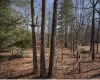 230 Derby Road, Middletown, NY, ,Land,For Rent,Derby,0,959460 230 Derby Road, Middletown, NY, ,Land,For Rent,Derby,0,959460