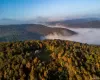 View of mountain backdrop with a heavily wooded area View of mountain backdrop with a heavily wooded area