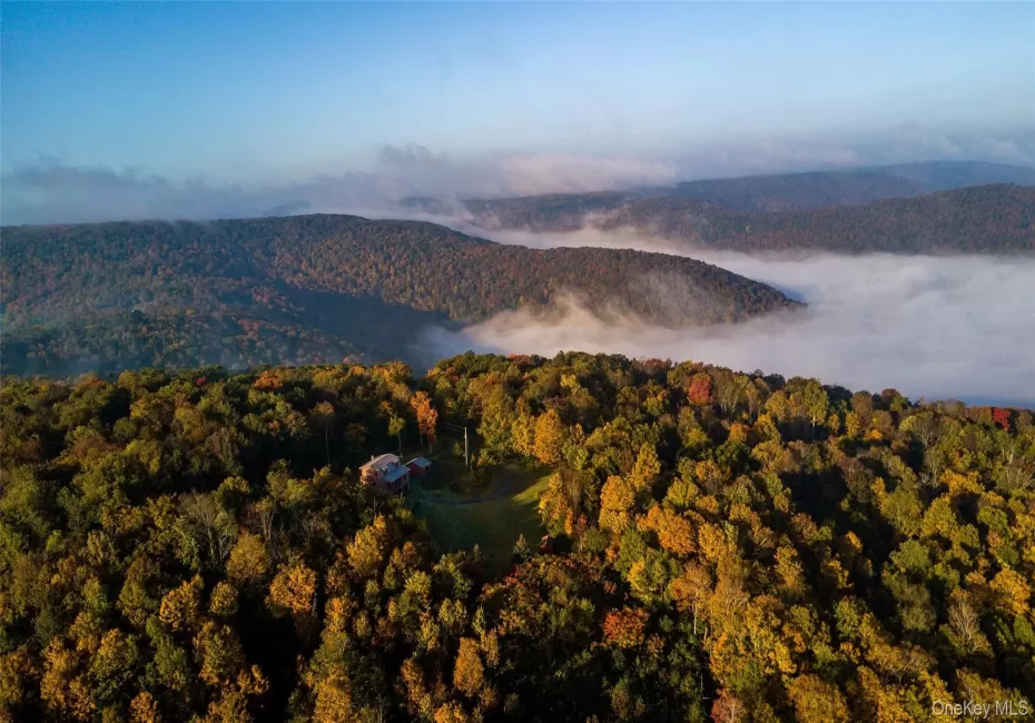 View of mountain backdrop with a heavily wooded area View of mountain backdrop with a heavily wooded area