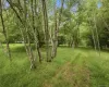 California Avenue, Liberty, NY, ,Land,For Rent,California,0,968992 California Avenue, Liberty, NY, ,Land,For Rent,California,0,968992