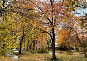 150-29 72 Road, New York, NY, 1 Bedroom Bedrooms, 3 Rooms Rooms,1 BathroomBathrooms,Residential,For Rent,72,0,KEY1000889 150-29 72 Road, New York, NY, 1 Bedroom Bedrooms, 3 Rooms Rooms,1 BathroomBathrooms,Residential,For Rent,72,0,KEY1000889