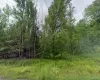 780 Tanzman Road, Liberty, NY, ,Land,For Rent,Tanzman,0,1000242 780 Tanzman Road, Liberty, NY, ,Land,For Rent,Tanzman,0,1000242