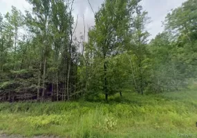 780 Tanzman Road, Liberty, NY, ,Land,For Rent,Tanzman,0,1000242 780 Tanzman Road, Liberty, NY, ,Land,For Rent,Tanzman,0,1000242