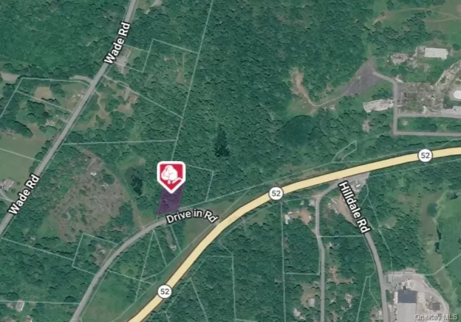 Drive in, Fallsburg, NY, ,Land,For Rent,Drive in,0,1002562 Drive in, Fallsburg, NY, ,Land,For Rent,Drive in,0,1002562